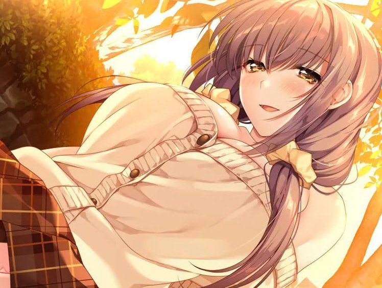 妹朋友! 妹Friend! AI汉化版+全CG存档